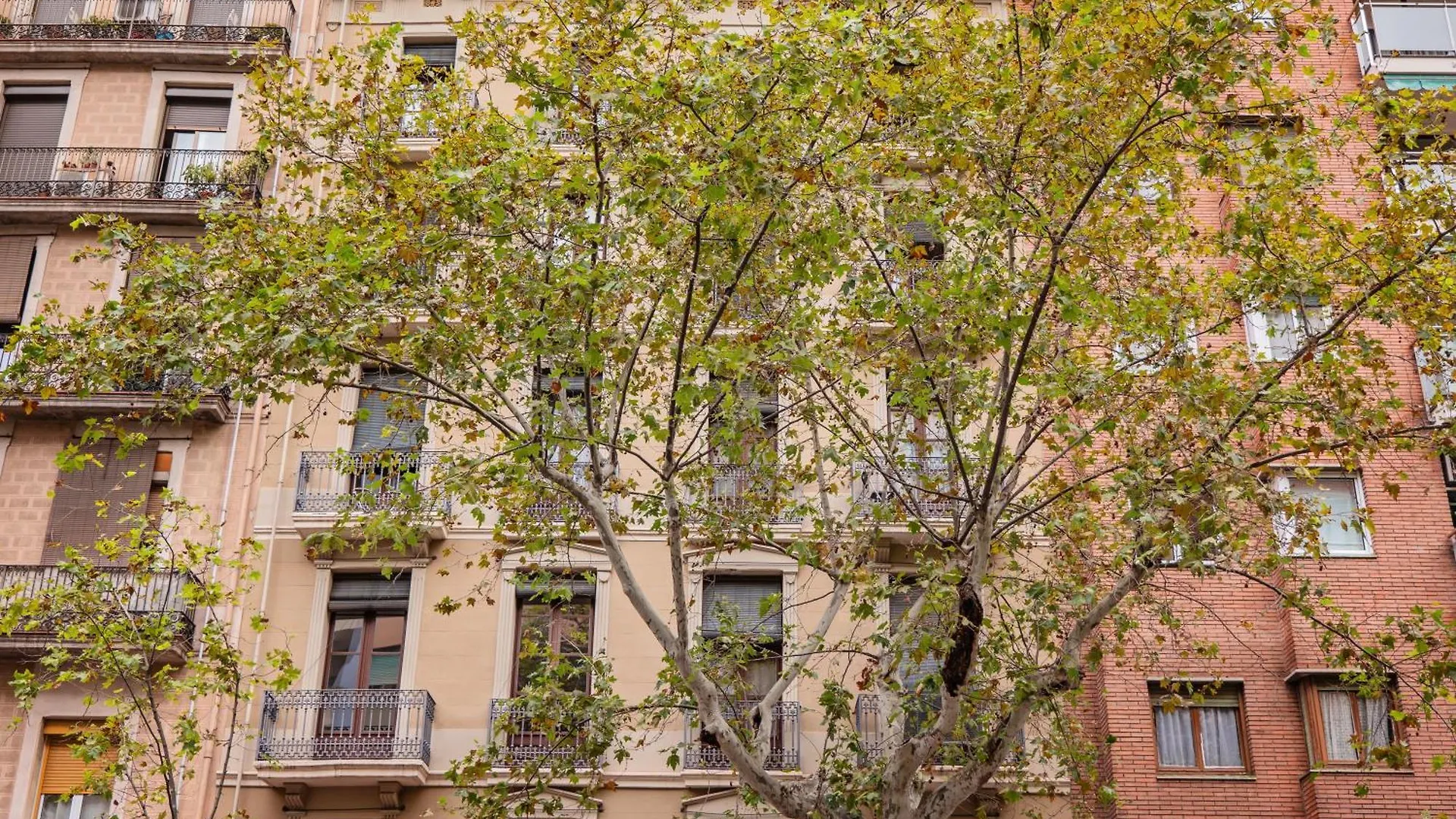 바르셀로나 Sweett - Urgell Eixample 아파트
